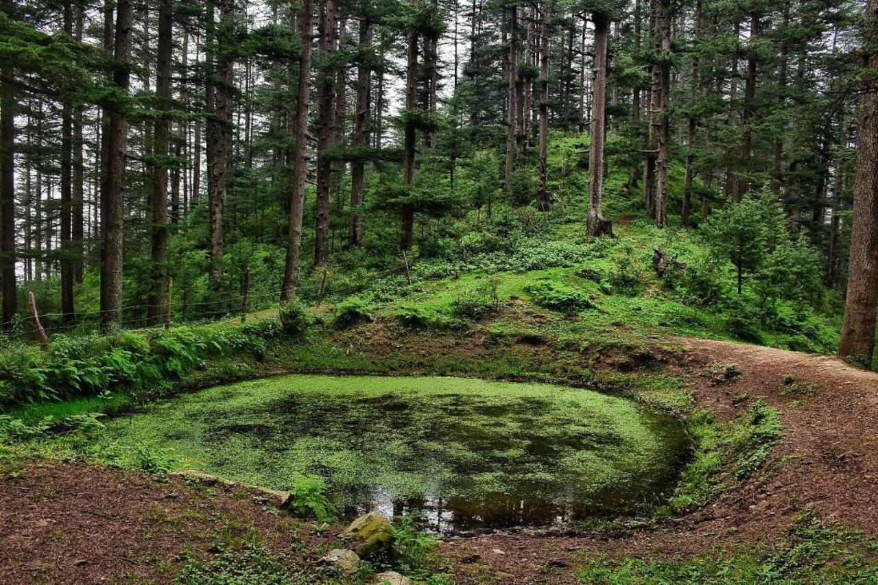 Ishan Log Huts-A Boutique Home Stay Banjār Eksteriør bilde